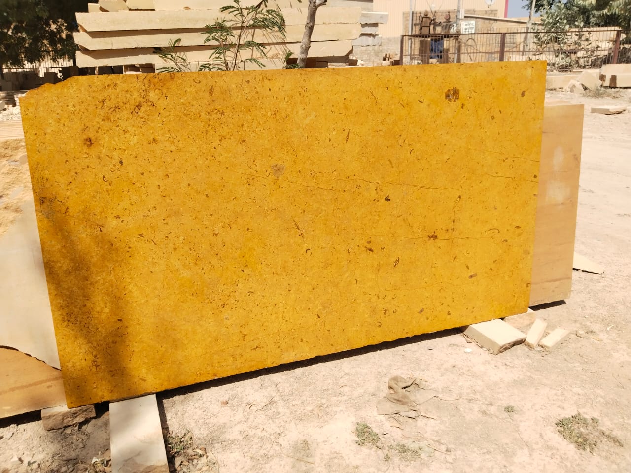 Jaisalmer Yellow Galaxy/Paradise Polished Marble 18mm