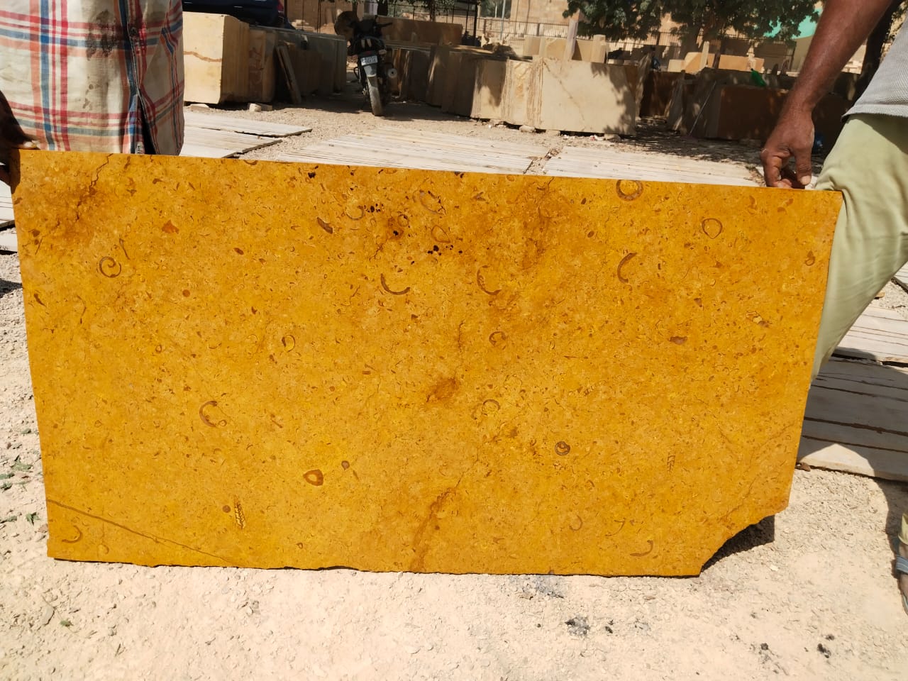 Jaisalmer Yellow Galaxy/Paradise Polished Marble 18mm